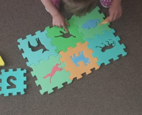 akce-520-008 Družina v tomto týdnu - puzzle, omalovánky, kreslení obrázků, pobyt v malé tělocvičně