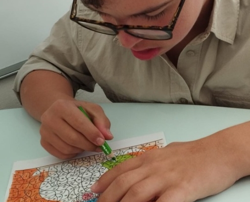 akce-520-016 Družina v tomto týdnu - puzzle, omalovánky, kreslení obrázků, pobyt v malé tělocvičně