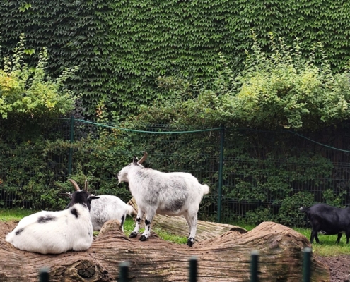 proběhl první Choďáček školního roku výletem do Bohumína