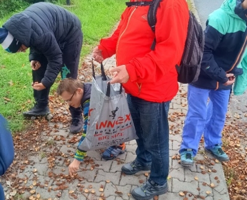 klasický podzimní sběr kaštanů