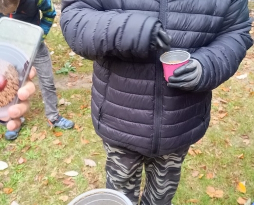 klasický podzimní sběr kaštanů