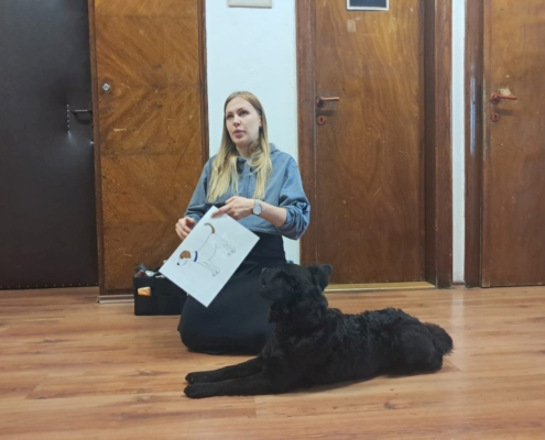 jak se k pejskovi můžeme a nemůžeme chovat