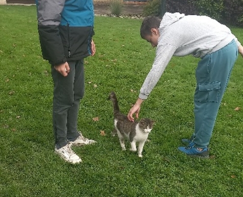 Dnes třída F navštívila farmu v Kozlovicích