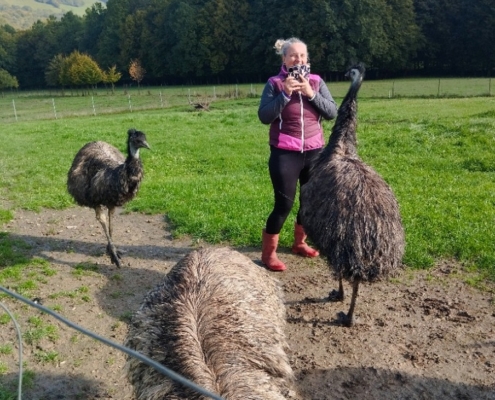 Dnes třída F navštívila farmu v Kozlovicích