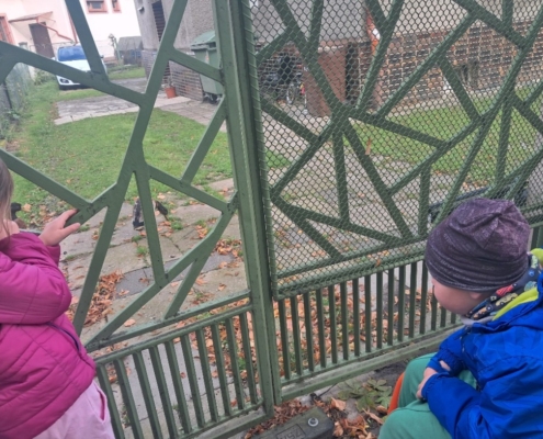 proběhl další kroužek sociálních dovedností