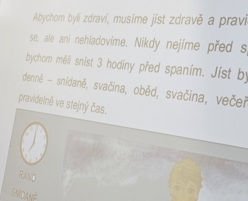 jsme probirali zásady zdravé výživy a výživu lidského těla