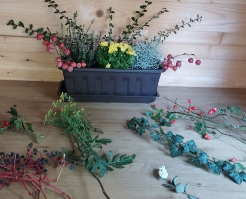 truhlík s podzimními rostlinami