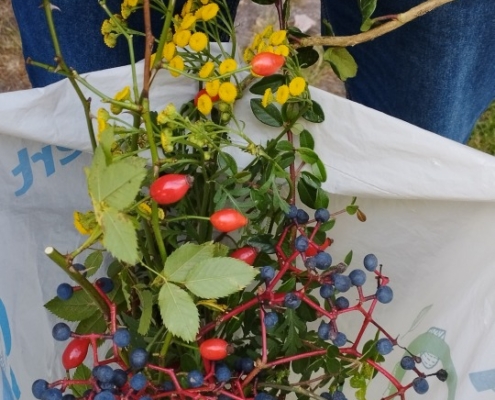 truhlík s podzimními rostlinami