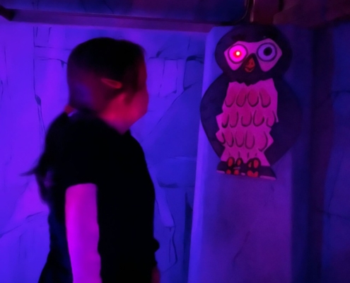 akce-563-033 se žáky navštívili Dolní oblast Vítkovice