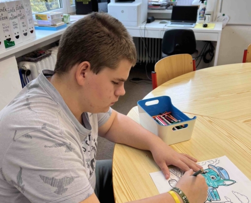 procvičili jemnou motoriku a koordinaci pohybu obou rukou