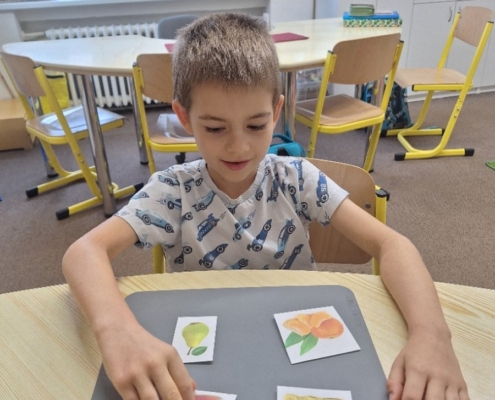 pokračovali v pracovních listech v tématu podzim