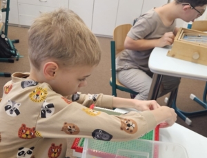 čtení z knih a slabikáře, matematika do 10000, třídění odpadu, orgány v lidském těle