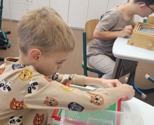 čtení z knih a slabikáře, matematika do 10000, třídění odpadu, orgány v lidském těle