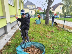 Hrabání spadaného listí a řezání dřeva