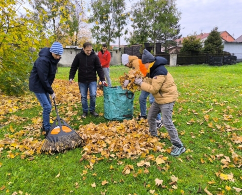 Hrabání spadaného listí a řezání dřeva