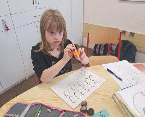 stihli zopakovat matiku, češtinu, psaní i čtení