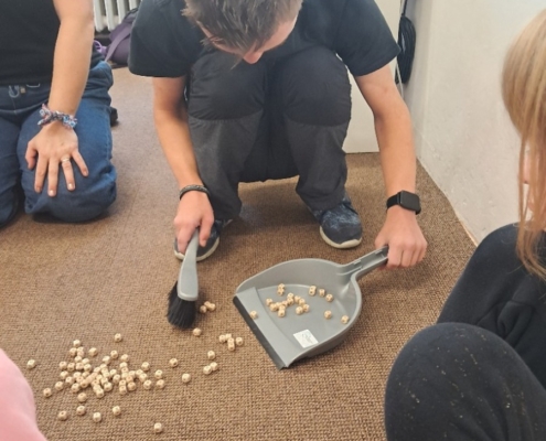 stihli zopakovat matiku, češtinu, psaní i čtení