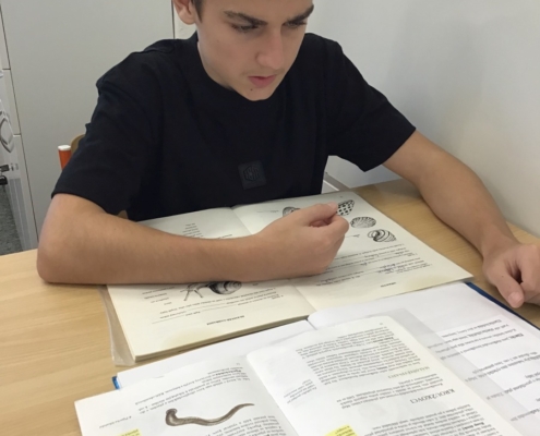 akce-604-010 Výuka před a po prázdninách