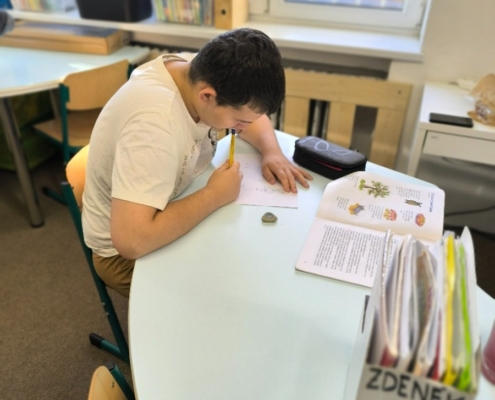 Výuka v předmětech Čtení, Člověk a příroda a Pracovní činnosti