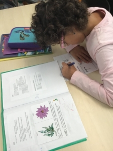 Pondělí a úterý ve třídě F