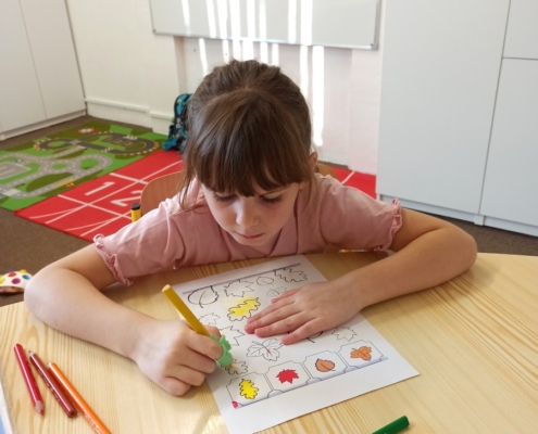 Psaní. Práce na počítači. Grafomotorická cvičení. Pracovní činnosti