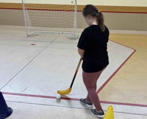 pořádná rozcvička, slalom s florbalovým míčkem a hokejkou