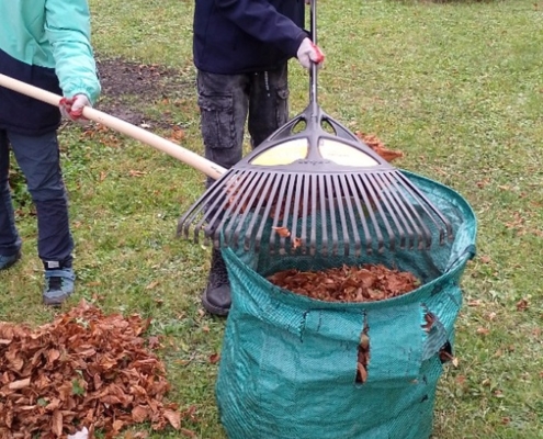 Podzim nám dodává náplň práce