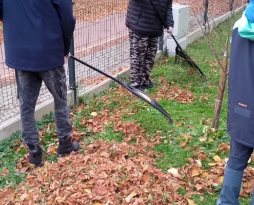 Podzim nám dodává náplň práce