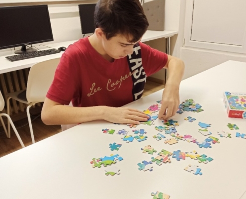 proběhlo školní kolo puzzliády