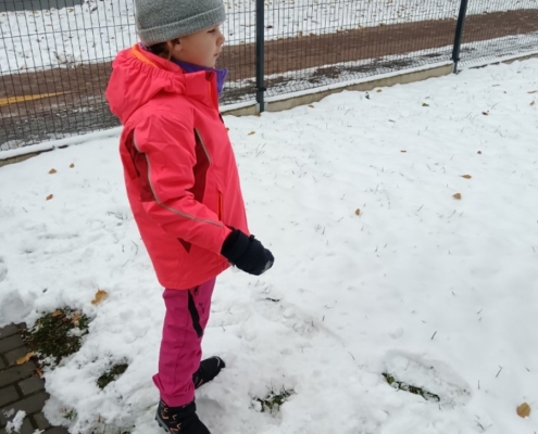 Poznávání změn v přírodě