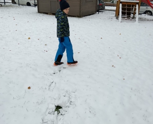 Poznávání změn v přírodě