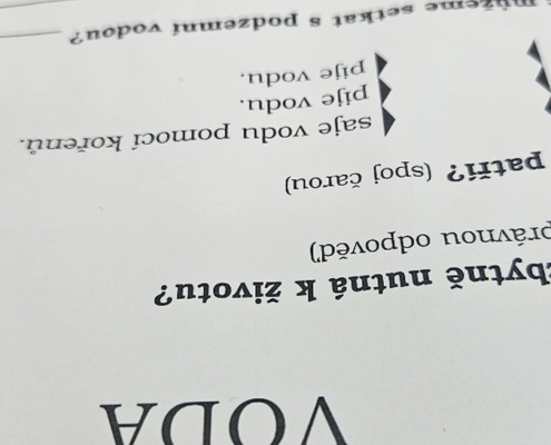 z výuky, plavání, přípravy na besídku a oslavy Matyho narozenin