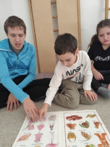 projekt Evropské unie - Inovativní vzdělávání pro život