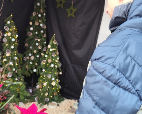 s našimi žáky z pracovních činností navštívili tradiční výstavu na místní Střední zahradnické škole