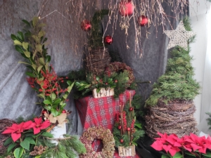 s našimi žáky z pracovních činností navštívili tradiční výstavu na místní Střední zahradnické škole