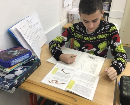 navštívili jsme knihovnu, vyrobili jsme vánoční svícny