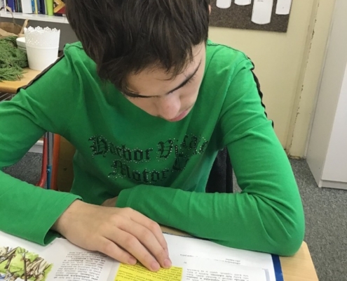 navštívili jsme knihovnu, vyrobili jsme vánoční svícny