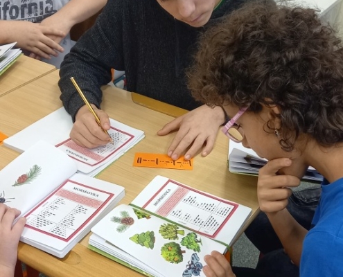 V Zálesáckém kroužku jsme se seznámili s morseovkou