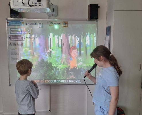 Třídění a zpracování odpadů-recyklace-význam, využití , ochrana přírody