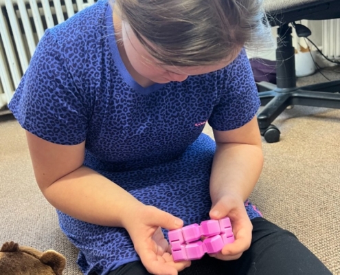 Po vánočních prázdninách jsme se opět přivítali první lednový týden