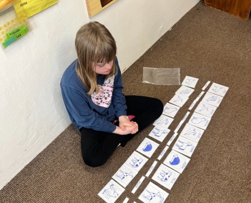 Po vánočních prázdninách jsme se opět přivítali první lednový týden