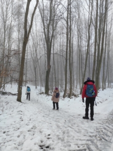 příjemná sněhová procházka Bělským lesem