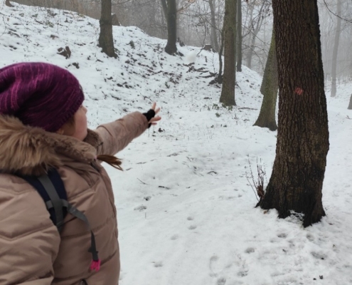 příjemná sněhová procházka Bělským lesem