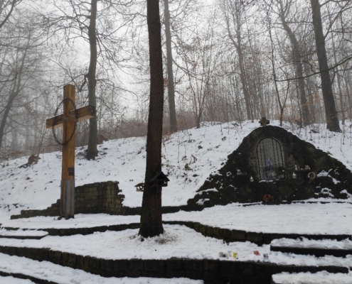 příjemná sněhová procházka Bělským lesem