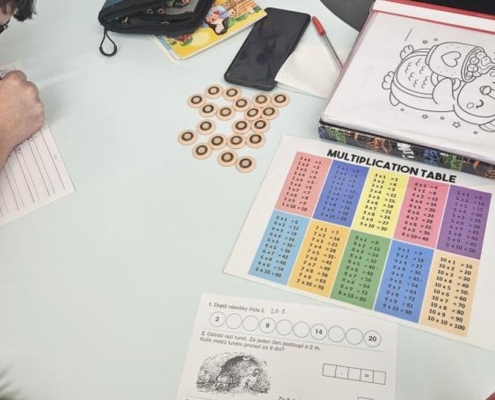 Počítání, plavání a rehabilitace v Pokroku,  práce na PC a psaní dopisu