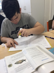 momenty z výuky českého jazyka, matematiky, prvouky, přírodovědy, vlastivědy, přírodopisu, chemie