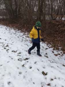 Tělocvik + člověk a jeho svět, příroda v zimě, Psaní, poznávání. Čtení