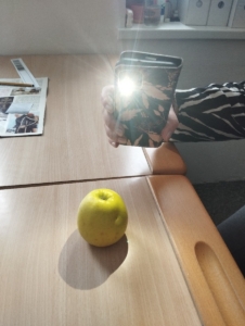 Dnes jsme si ve výtvarné výchově vyzkoušeli stínování