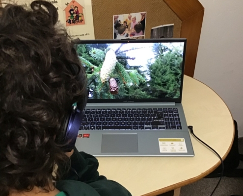 Kromě českého jazyka a matematiky jsme se učili o přírodě, o obchodu a penězích