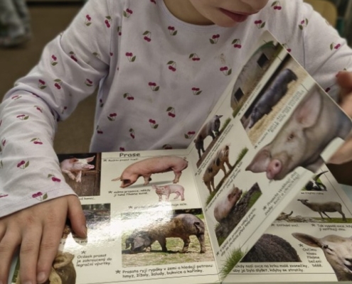 naše družina frčela a opět nabídla různé činnosti